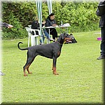 IMG_1177.jpg