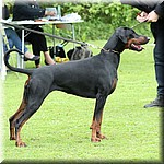 IMG_1181.jpg