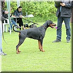 IMG_1182.jpg