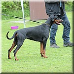 IMG_1188.jpg