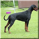 IMG_1189.jpg
