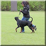 IMG_1194.jpg