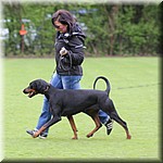 IMG_1196.jpg