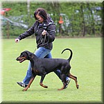 IMG_1197.jpg