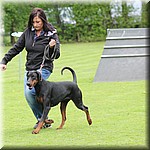IMG_1198.jpg