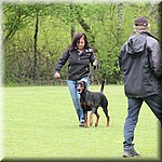 IMG_1208.jpg