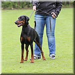 IMG_1211.jpg
