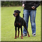 IMG_1212.jpg