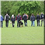 IMG_1216.jpg