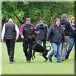 IMG_1224.jpg