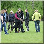 IMG_1230.jpg