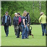 IMG_1232.jpg