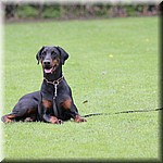 IMG_1251.jpg