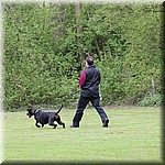 IMG_1275.jpg